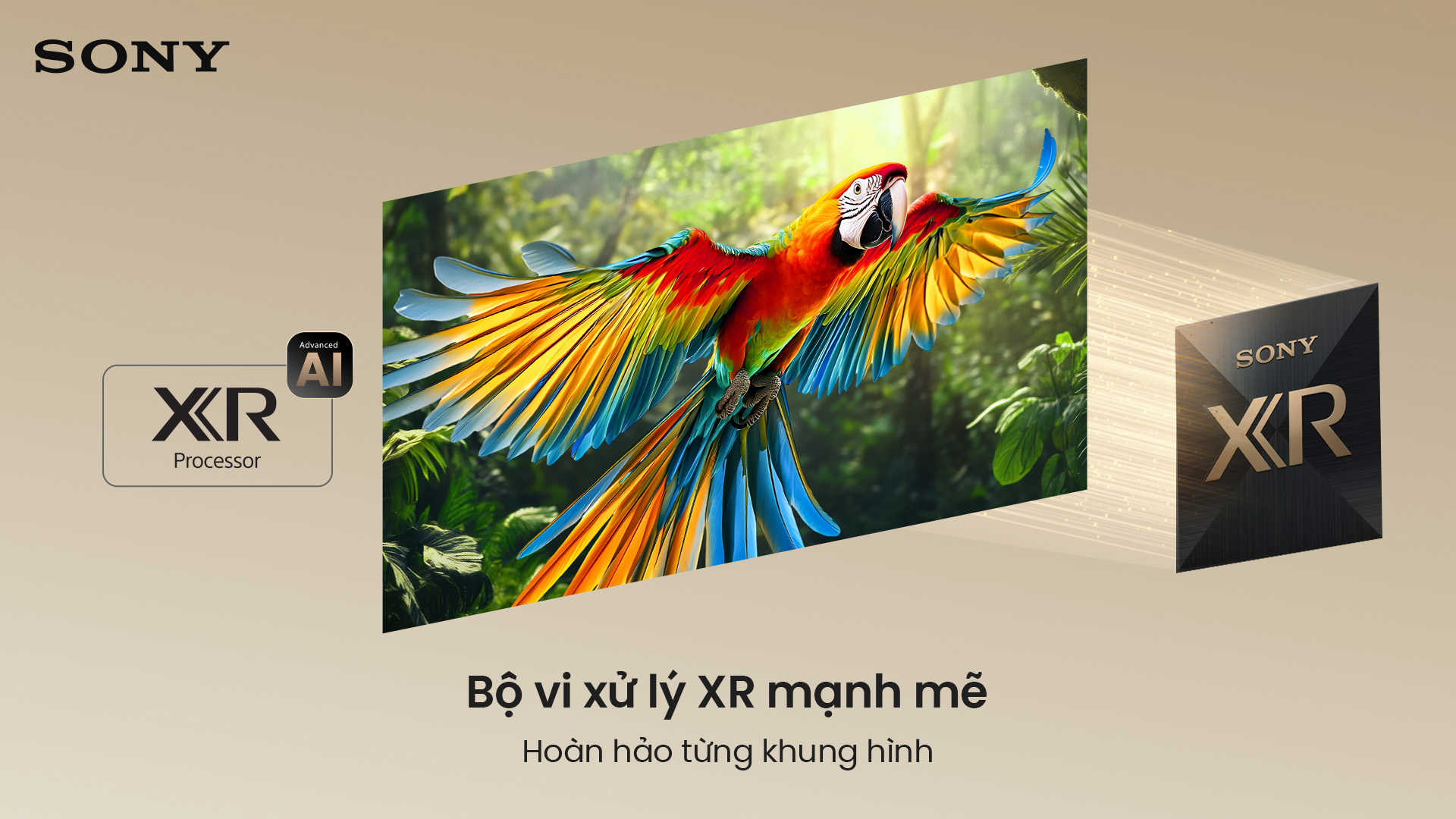 Bộ vi xử lý XR Processor tích hợp trí tuệ nhân tạo
